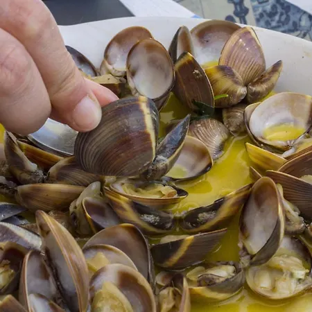 شقة A51 - Torraltinha Sunset