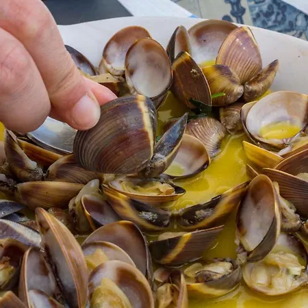 Apartment A51 - Torraltinha Sunset Lagos